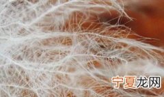 羽绒怎么分好坏 怎样辨别羽绒服的好坏
