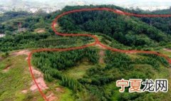 坟地风水禁忌事项 坟地风水有哪些禁忌事项