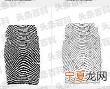 如何提取指纹 五种方法提取指纹