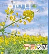 四月文案短句 四月最美诗句 愿一切美好都如期而至，喜欢的都拥有