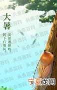 适合大暑发朋友圈的文案句子