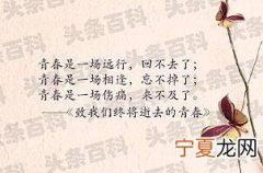致我们终将逝去的青春的句子