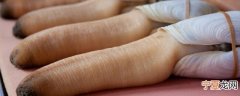 新鲜象拔蚌能保存多久 象拔蚌怎么保存