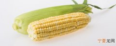 新鲜糯玉米真空保存方法 糯玉米怎么贮存新鲜
