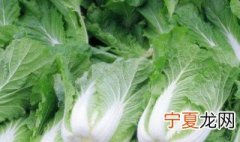 蔬菜名字有哪些 关于蔬菜名字