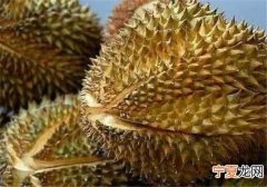 榴莲怎么挑才好吃 榴莲怎么挑才好吃给你个季节好吃