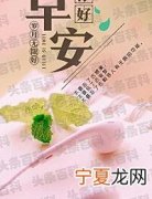 每日一条早安心语经典语句