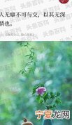 生活随性随心的句子 热爱生活的唯美短句子