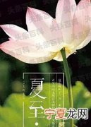 夏至节气的含义是什么意思 夏至逢雨,三伏热