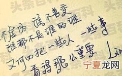 爱情情感语录大全
