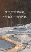 每日分享正能量句子