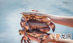 螃蟹的清洗方法 这样清洗最干净