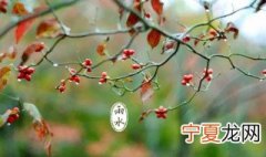 2021年雨水节气能回娘家吗视频 2021年雨水节气能回娘家吗