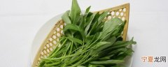空心菜辅食需要煮多久 空心菜的营养价值