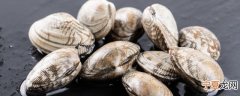 新鲜花甲可以冷冻保存吗 新鲜花甲能不能冷冻保存