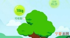 蚂蚁森林能怎样浇水，蚂蚁森林里怎么浇水