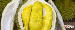新鲜榴莲怎么放冰箱保存 新鲜榴莲如何放冰箱保存