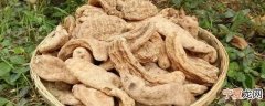 新鲜天麻茯苓怎么保存好 新鲜天麻茯苓如何保存好