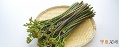 新鲜蕨菜怎样冷冻保存 新鲜蕨菜如何冷冻保存