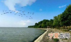 世界文化遗产是淮北大堤还是洪泽湖大堤 淮北大堤是世界文化遗产吗