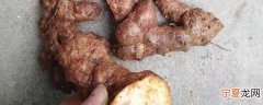 新鲜的土茯苓怎样保存 新鲜的土茯苓有什么方法保存