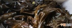 新鲜的海菜怎么保存 新鲜的海菜如何保存