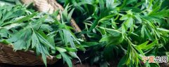 新鲜艾叶煮鸡蛋怎么做 艾叶煮鸡蛋的做法