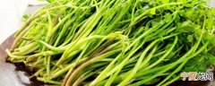 野芹菜煮多久才能吃 野芹菜煮几分钟才能吃