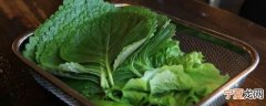 苏子叶可以晒干保存吗 苏子叶能不能晒干存放