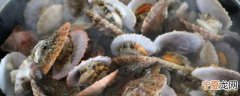 海里贝壳要煮多久才能吃 海里贝壳要煮几分钟才能吃