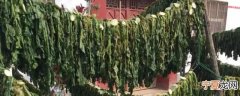 干的萝卜缨子煮多久才能吃 干的萝卜缨子煮几分钟才能吃