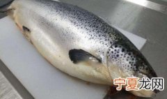 挪威三文鱼养殖方法 挪威三文鱼如何养殖