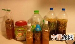 制作环保酵素的方法 制作环保酵素怎么做