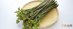 山蕨菜要煮多久熟了才能吃 山蕨菜要煮多长时间呢