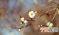 立春含义是什么意思 立春是代表什么意思