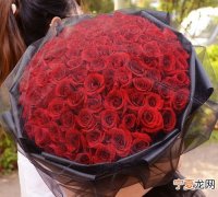 玫瑰送几朵，追喜欢的女孩在什么时候送玫瑰以及送多少朵