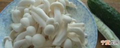 白玉菇怎么保存时间长一些 白玉菇怎样保存时间长一些