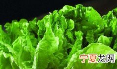 自己在家种生菜的方法 自己在家怎么种生菜