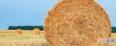 秸秆大包夏季如何保存不发霉 秸秆包夏天怎么放