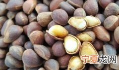 松子放冰箱三年还可以吃吗 松子放冰箱里冻九年了还可以吃吗