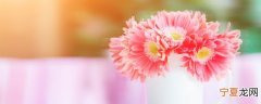 如何让鲜花保存时间长点 鲜花如何保存