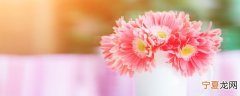 鲜花如何放冰箱保存时间长 鲜花怎样放冰箱保存时间长