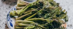 刺老包怎样保存时间长 刺老包如何保存时间长