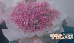 满天星的花语寓意是什么 满天星的花语含义是什么
