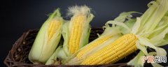 玉米塑封的需要煮多久 白玉米和黄玉米营养有什么区别？