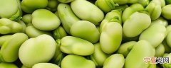 大蚕豆怎么保存时间长一点 大蚕豆保存方法分享