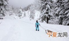 新手第一次滑雪注意哪些事项 新手滑雪需要准备的东西