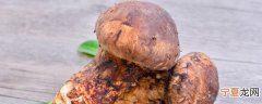 新鲜松茸的存放方法 新鲜松茸如何存放最佳