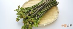 厥菜怎么炒好吃 甘香吸味蕨菜炒腊肉家常做法