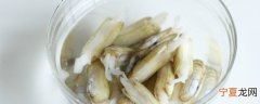 新鲜蛏子存放方法 新鲜蛏子如何存放更好